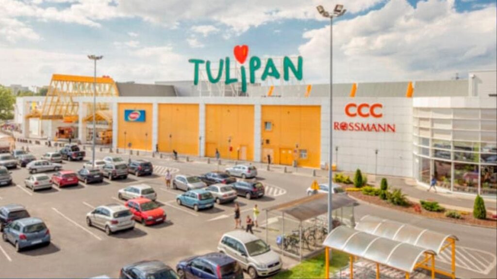 CH Tulipan